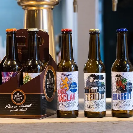 Maison d'hôtes Olivuv Pivovar