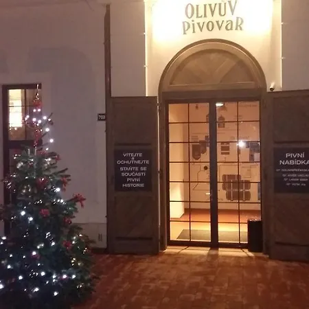 Olivuv Pivovar 3* Dolni Brezany