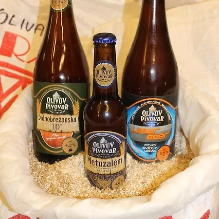 Olivuv Pivovar Maison d'hôtes
