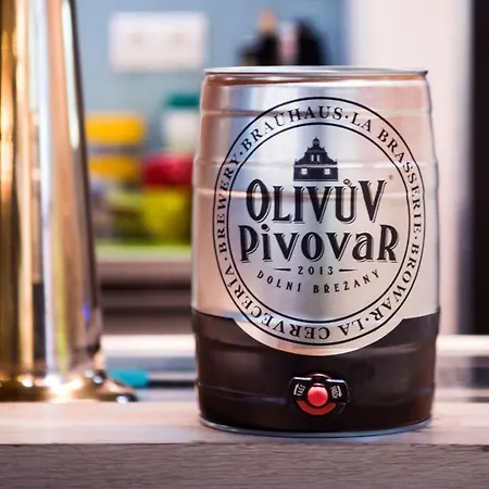 招待所 Olivuv Pivovar Dolni Brezany