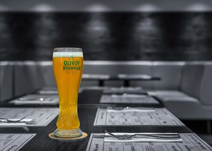 Guest house Olivuv Pivovar Dolni Brezany