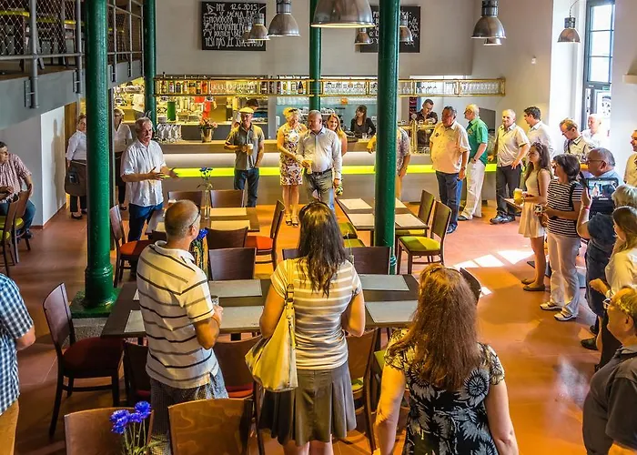 Guest house Olivuv Pivovar 3*