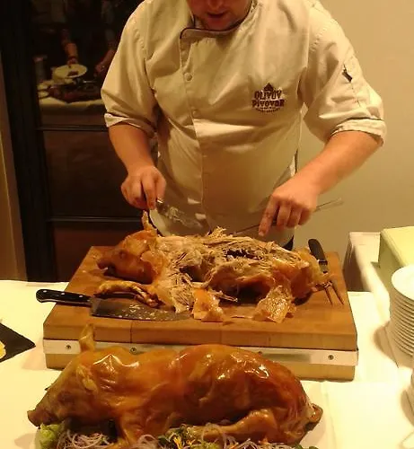 Guest house Olivuv Pivovar Dolni Brezany