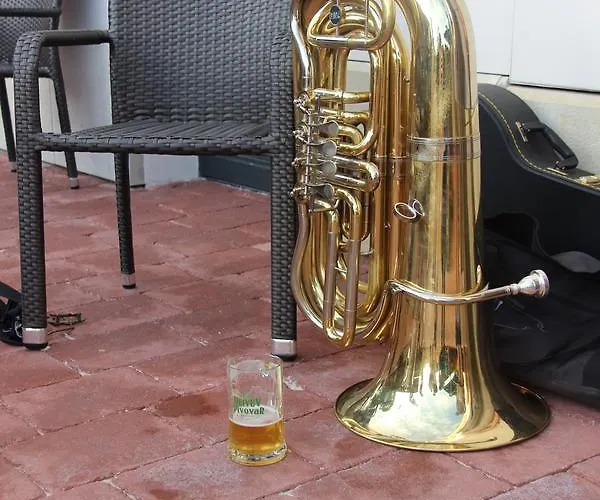 Olivuv Pivovar Guest house Dolni Brezany