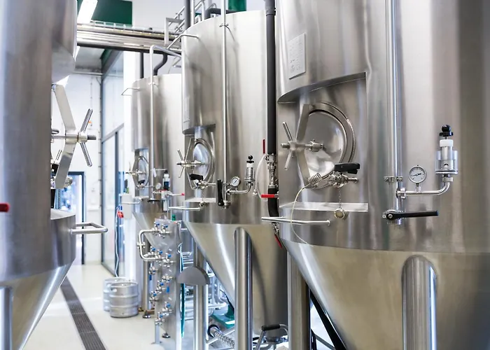 Guest house Olivuv Pivovar Dolni Brezany