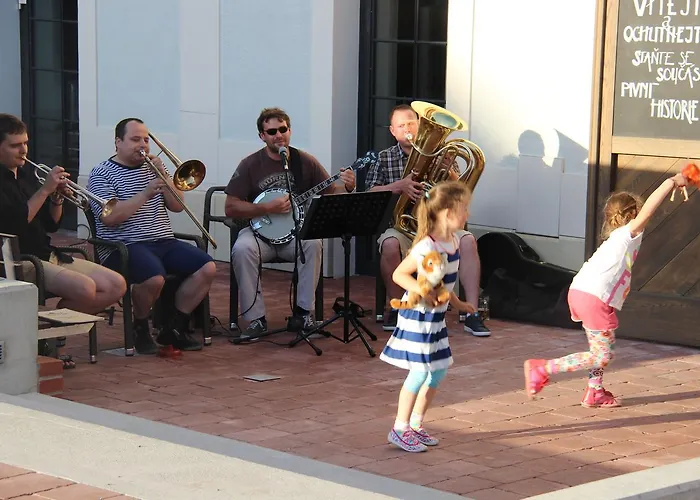 Guest house Olivuv Pivovar Dolni Brezany